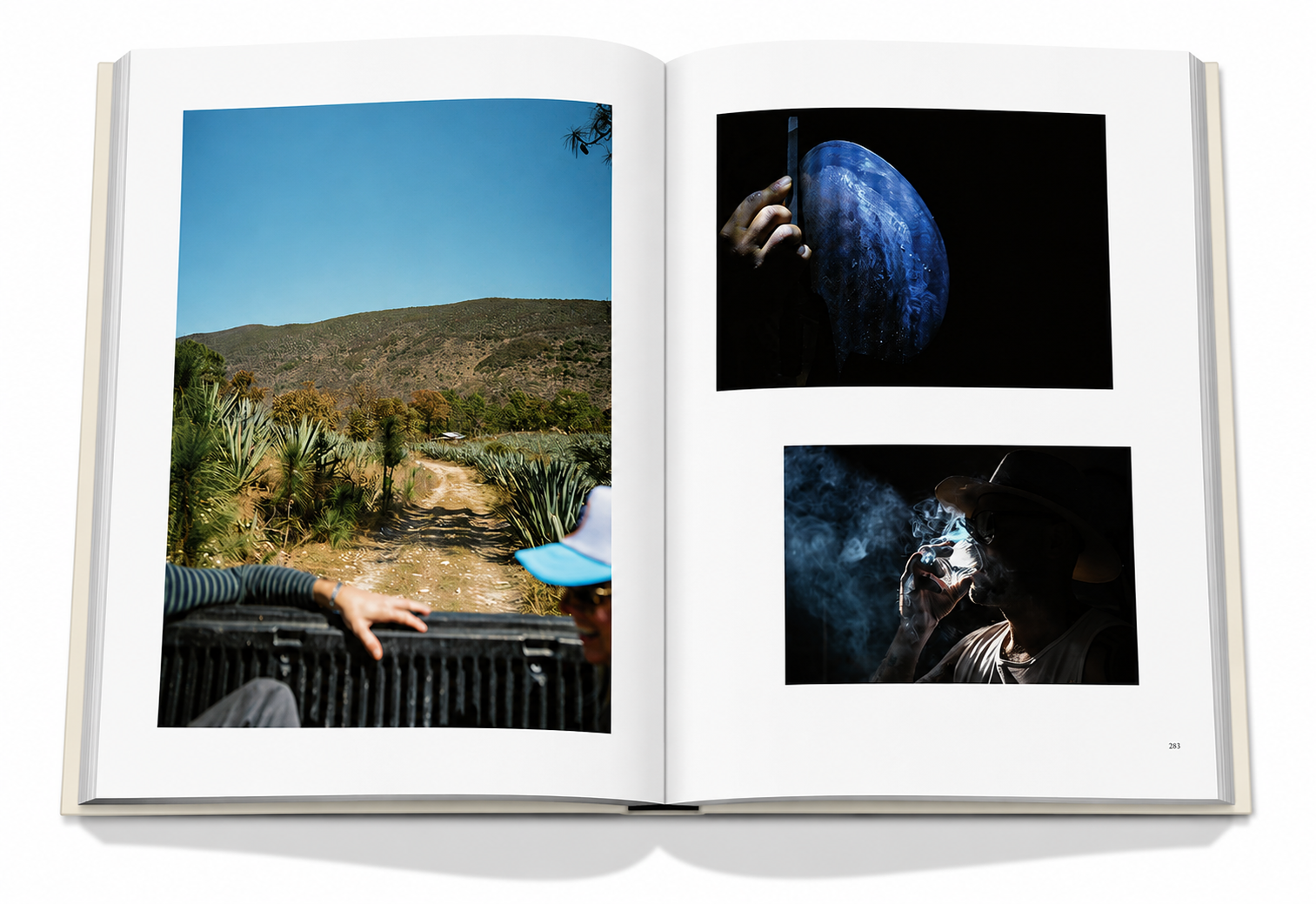 MEXICO: The Art of Tequila and Mezcal