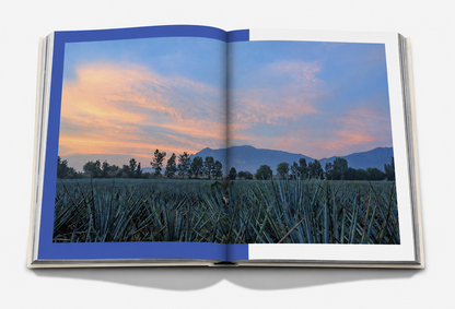 MEXICO: The Art of Tequila and Mezcal