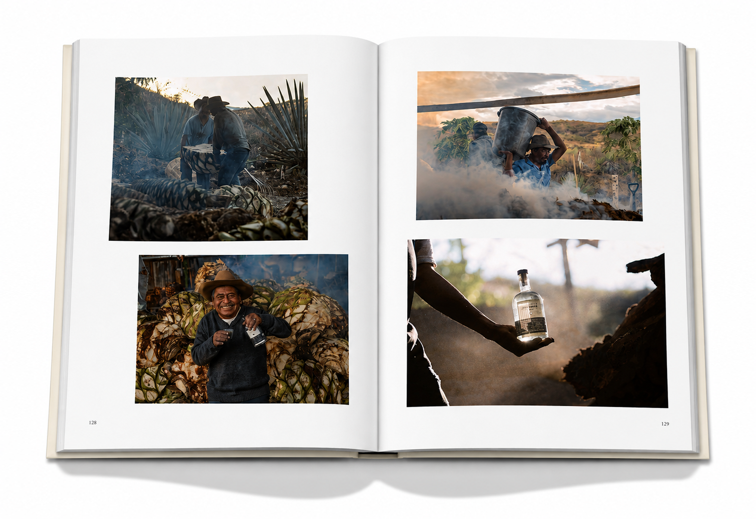 MEXICO: The Art of Tequila and Mezcal